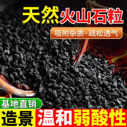 黑色天然火山石颗粒多肉铺面