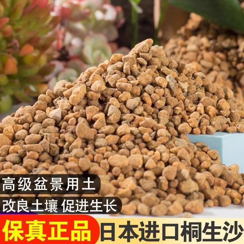 桐生砂沙日本进口多肉颗粒营养土