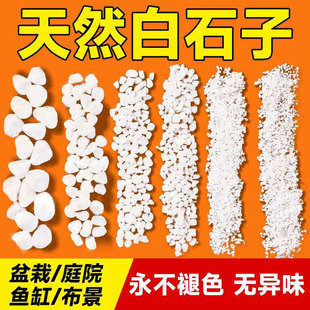 小白石子庭院造景鱼缸鹅卵石原石天然颗粒养花多肉盆栽装 饰铺面石