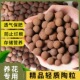 陶粒垫底养花专用防烂根回填铺面透气陶粒水培园艺轻质陶粒轻质球