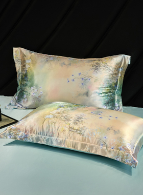 夏季真丝枕套桑蚕丝抑菌凉感美容枕头套冰丝单人48x74cm枕头套