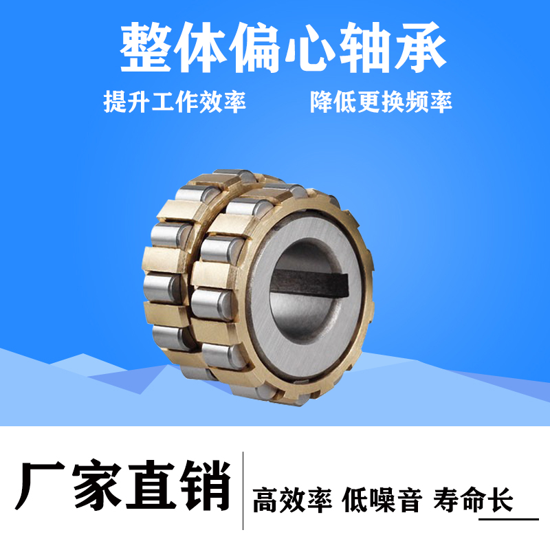 天马减速机偏心轴承RN205 206 307 308 309 312 222 219 328 M