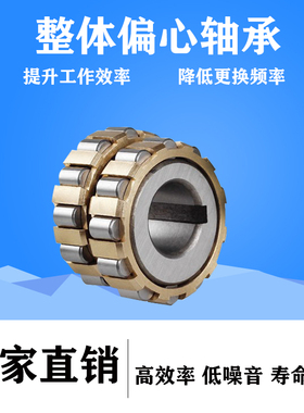 天马TMB减速机整体偏心轴承600752307/650752307/700752307