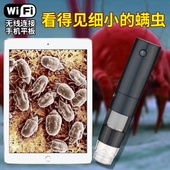 拜斯特放大镜600倍带灯无线数码 显微镜头皮发检测仪看螨虫放大镜