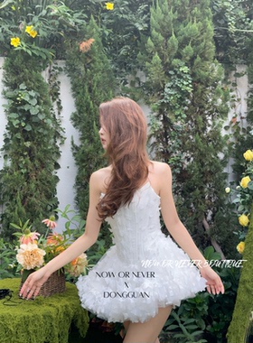 Laneci SWAN DRESS 白色新款 越南