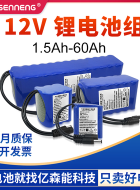 12V锂电池大容量小体积18650太阳能灯可定制带通讯RS485动力电瓶