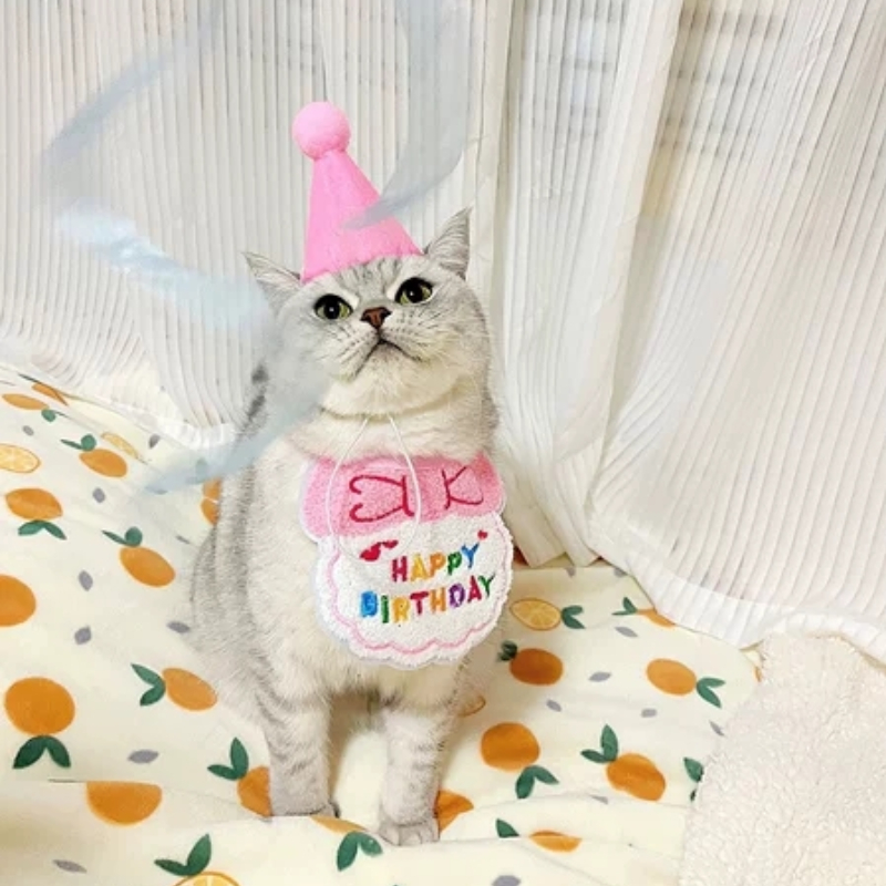 猫咪狗狗生日围兜狗狗围脖装饰小狗脖子装扮生日帽套装宠物口水巾