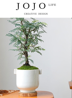JOJO'S L. PD.mutually.花盆北欧简约复古创意ins风海芋 | 彼此
