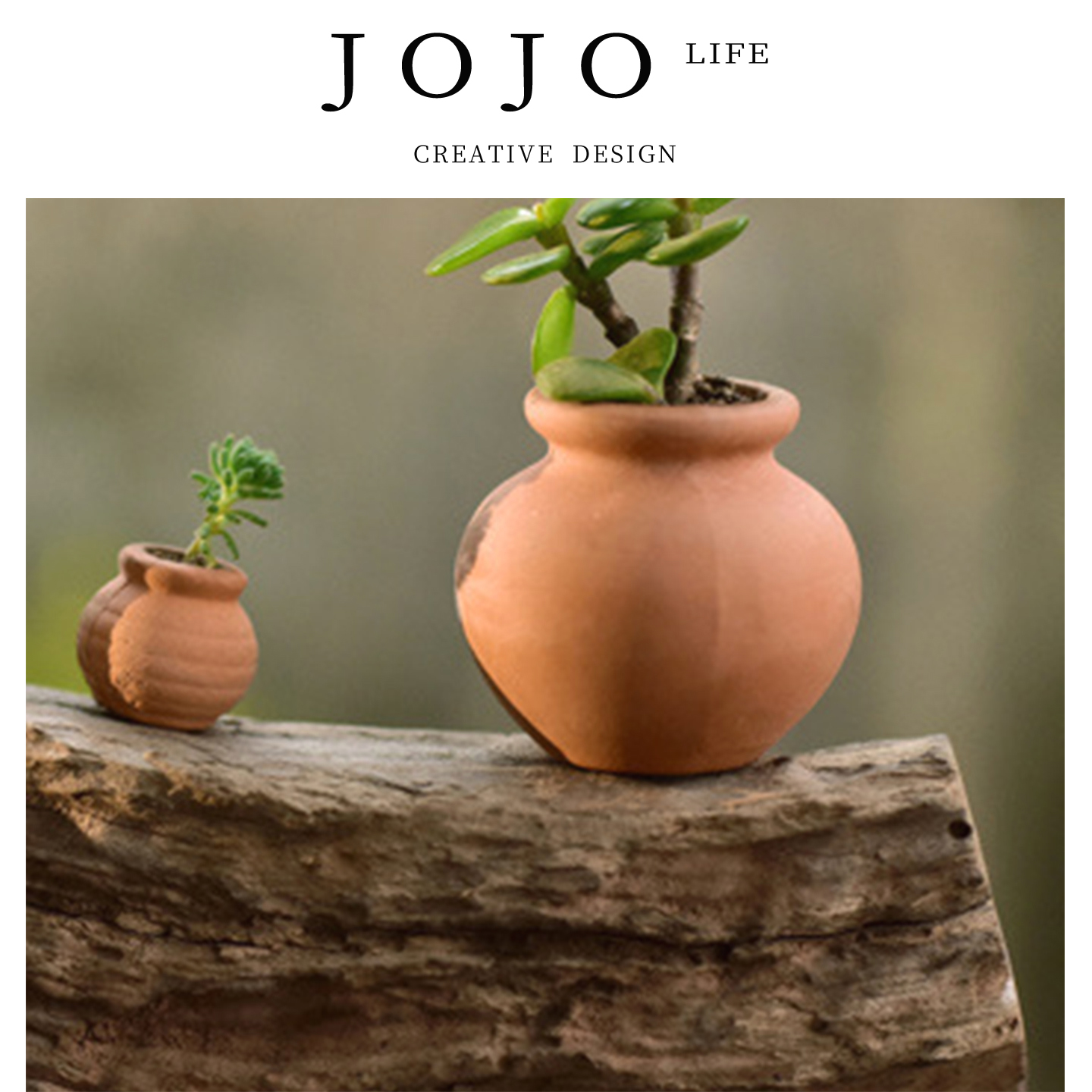 JOJO'SLIFEPD花盆拇指育苗超级