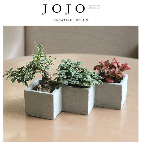 JOJO'SL.PD盆器连体组合花盆