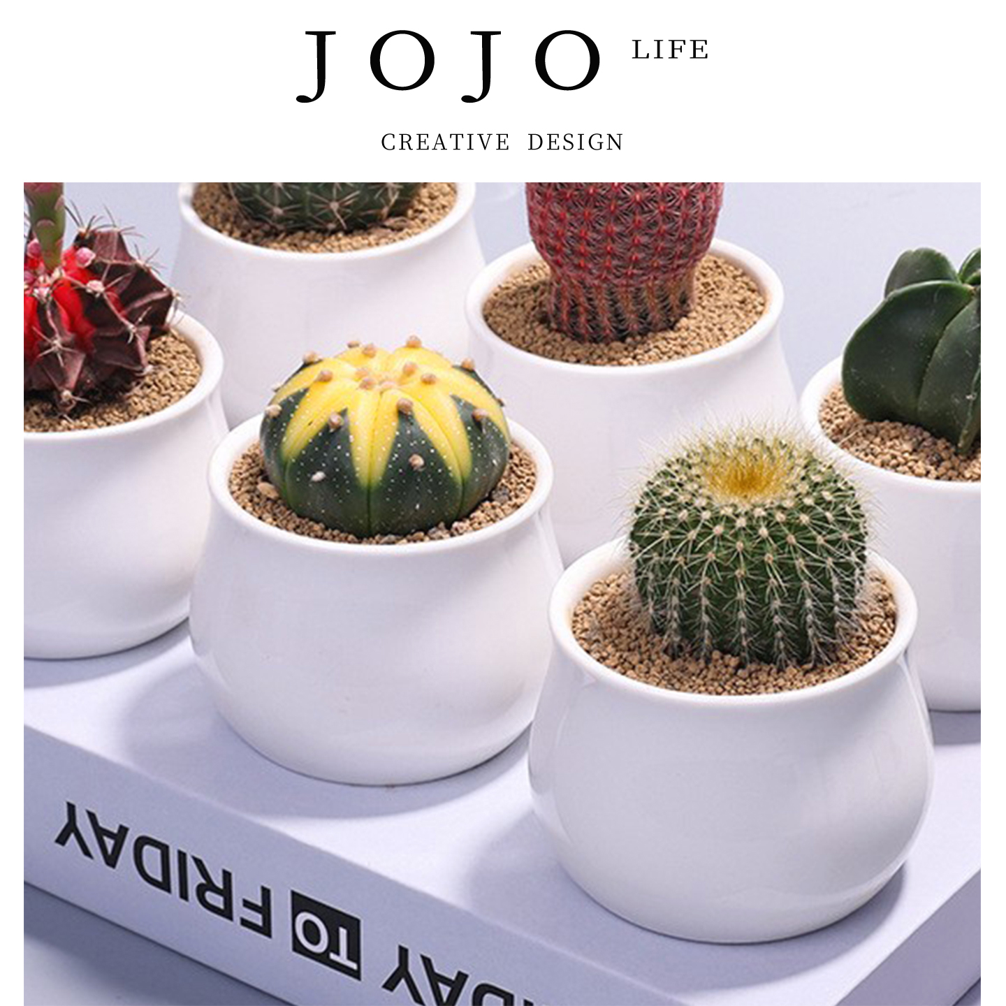 JOJO'SLIFEPD绿植万重山仙人掌