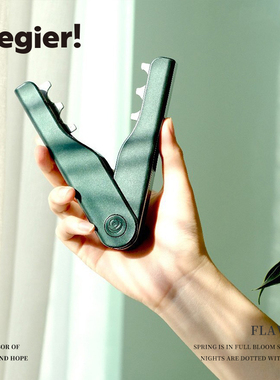 JOJO'S L. PD.Cegier.玫瑰打刺钳塑料玫瑰花鲜花花泥打刺钳 |谛味