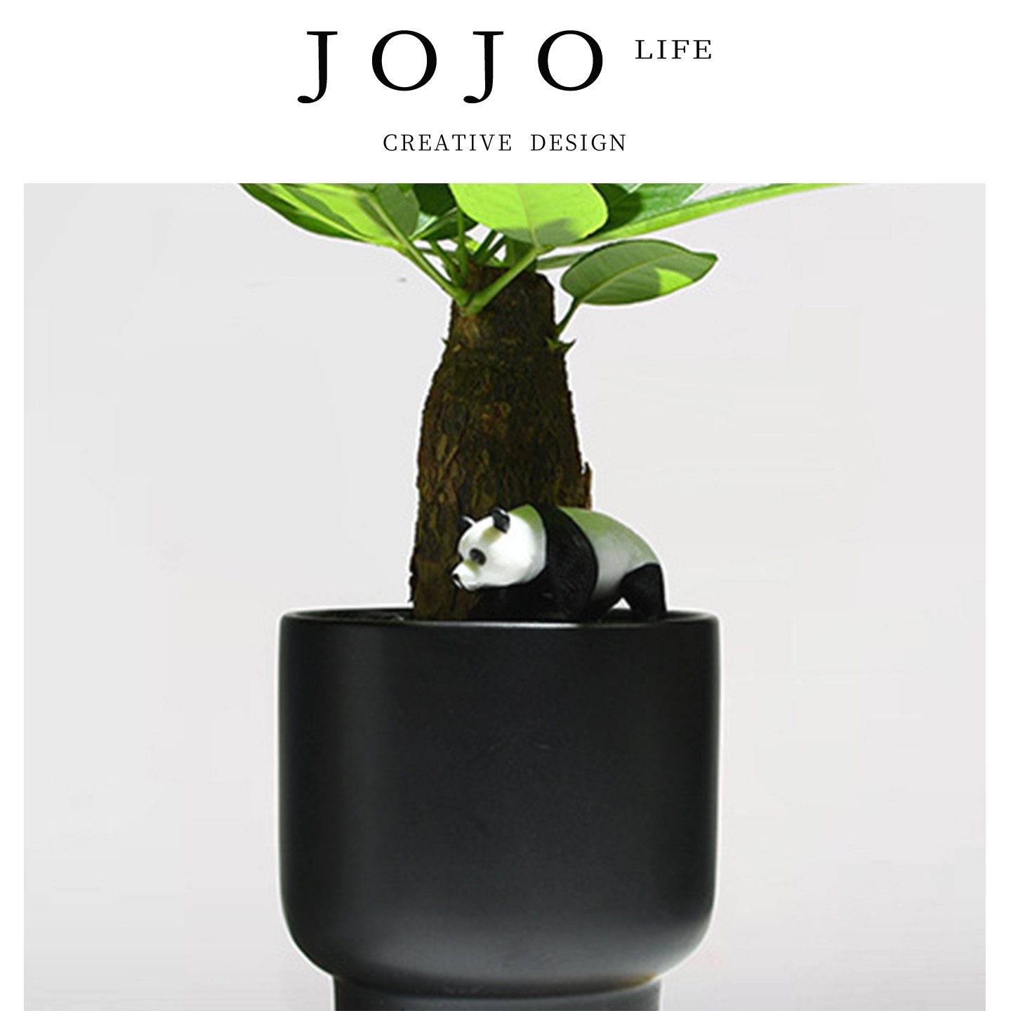 JOJO'SLIFEPD绿植招财四季常青