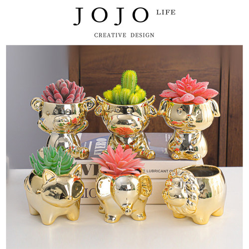 JOJO'SLIFEPD花盆仙人掌多肉花