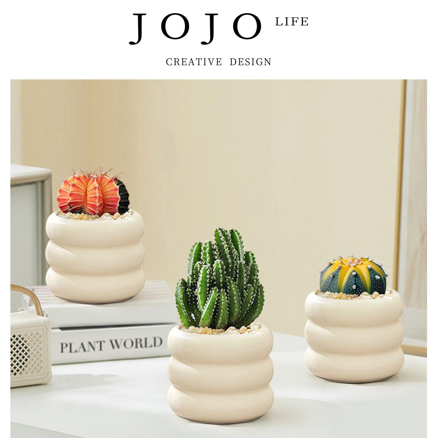 JOJO'SLIFEPD多肉植物室内盆栽