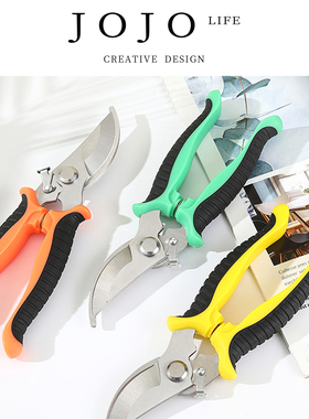 JOJO'S L. PD.wing.不锈钢树枝剪修枝剪园艺剪刀果园花艺 | 翅某