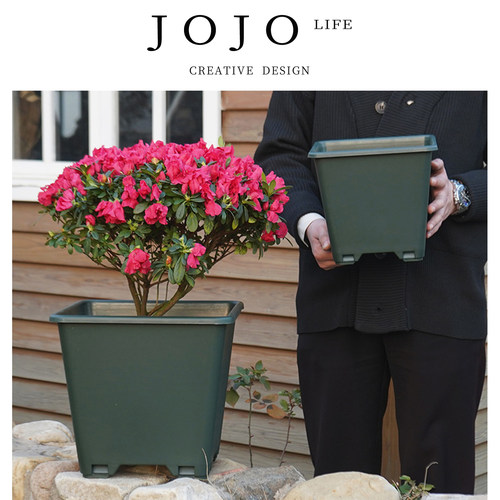JOJO'SLIFEPD花盆加厚多肉植物