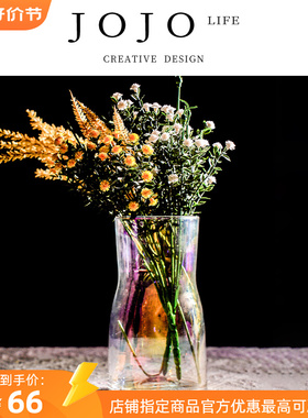 JOJOS L. PD.Seen.花瓶家用创意玻璃透明水培鲜花插花器丨以若