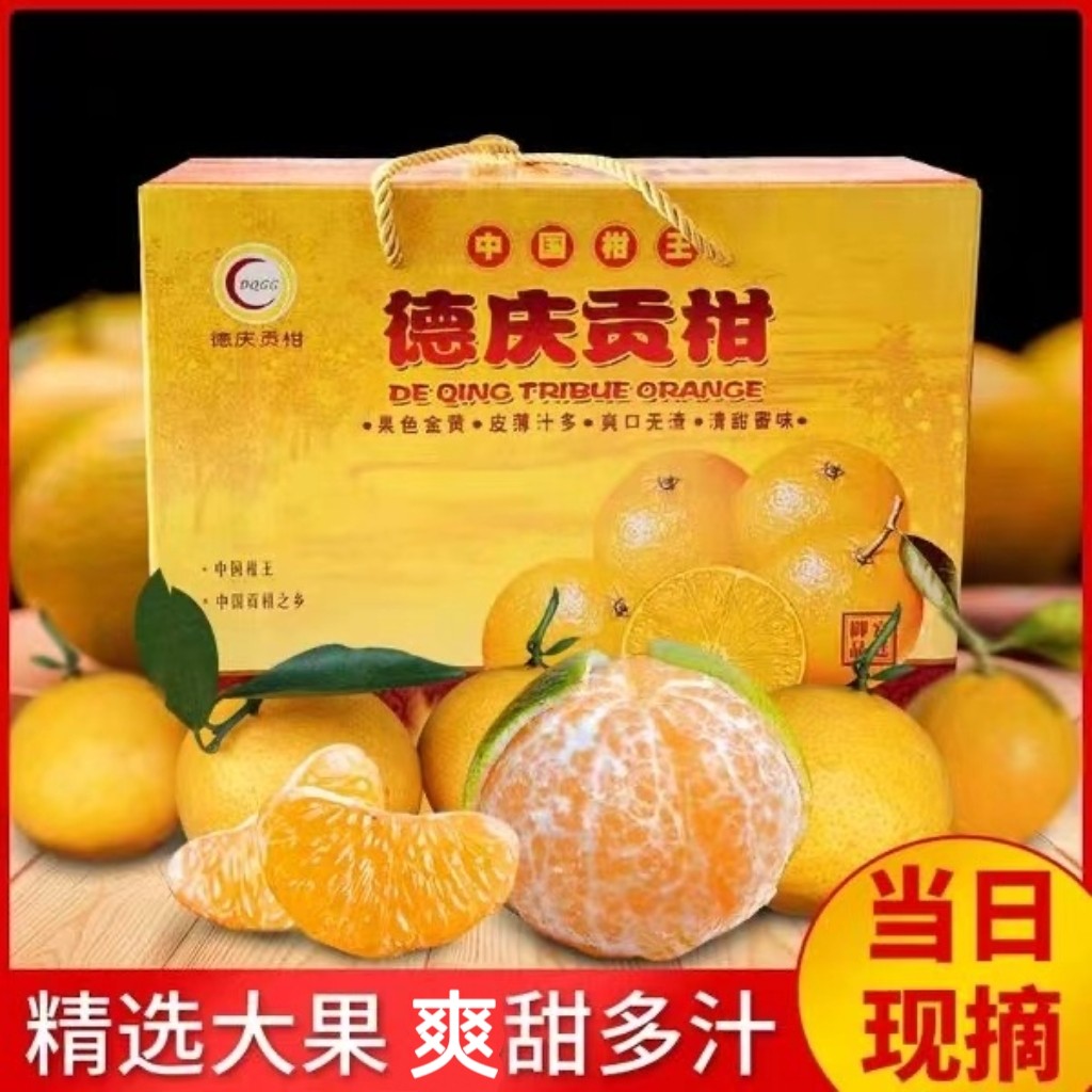 正宗德庆皇帝柑当季孕妇水果非广西橙子蜜桔甜桔子大果5/10斤包邮