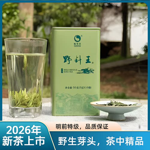新春茶特级野针王高档怡清源绿茶