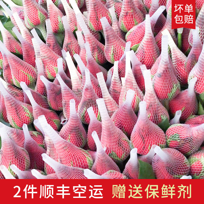 网友分享在meiguo.com的图片