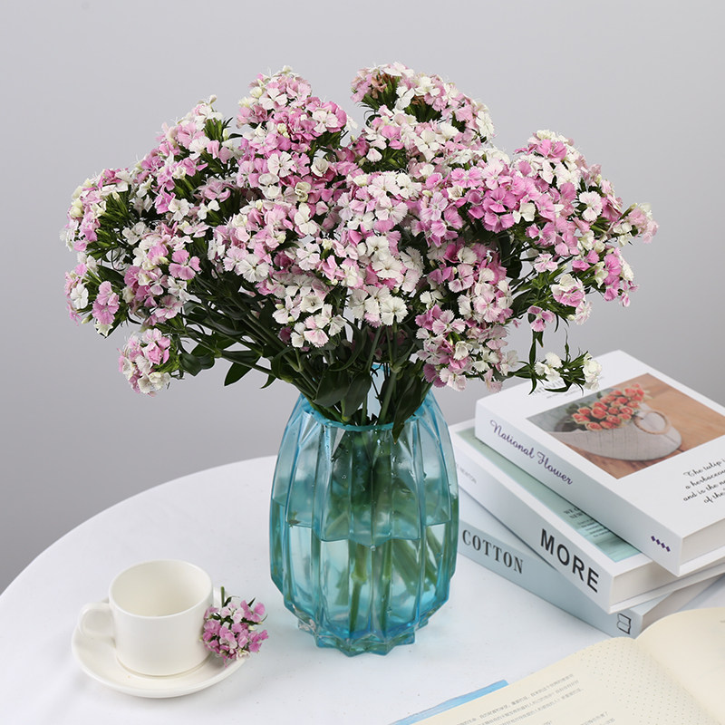 青梅相思梅鲜花直批云南昆明基地直发家用办公插花水养鲜切花直供