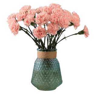 云南鲜花康乃馨鲜切花室内水养花卉家居装饰教师母亲节节生日礼物