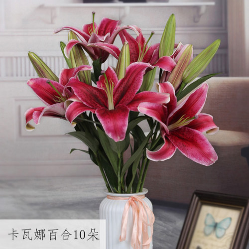 红色百合花鲜花云南直发水养