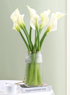 天堂鸟白色马蹄莲鲜花云南速递同城直发真花水养切花家用客厅室内