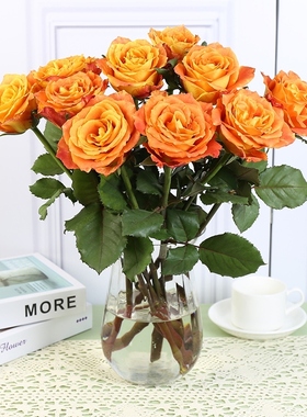 活泼的橙色系欢乐颂玫瑰花鲜花云南直发奥斯汀花型玫瑰水养鲜切花