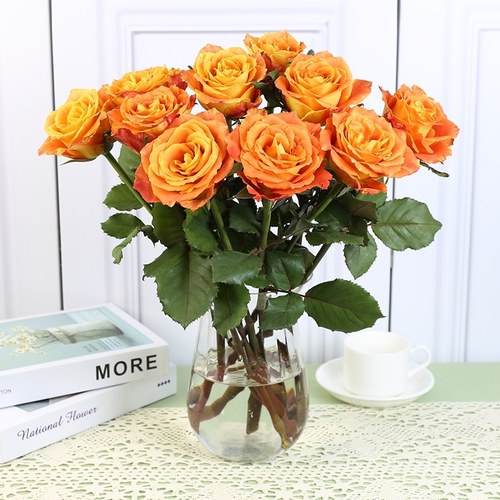 云南直发奥斯汀玫瑰水养鲜切花