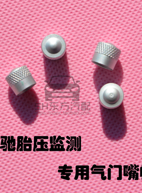 奔驰A180B200C200E200E260E300R300S350ML350G500气门芯轮胎嘴帽
