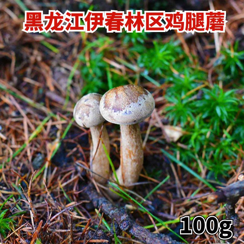 东北特产伊春林区新鲜鸡腿蘑菇钉干货食用菌晒干煲汤菌100g包邮