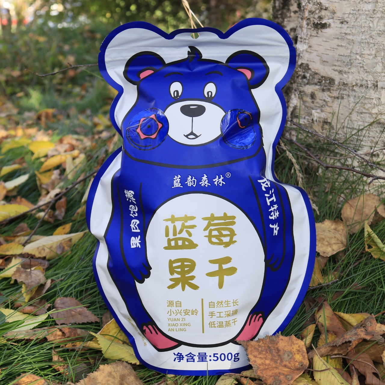 东北特产伊春蓝韵森林小熊蓝莓果干小包装500克包邮