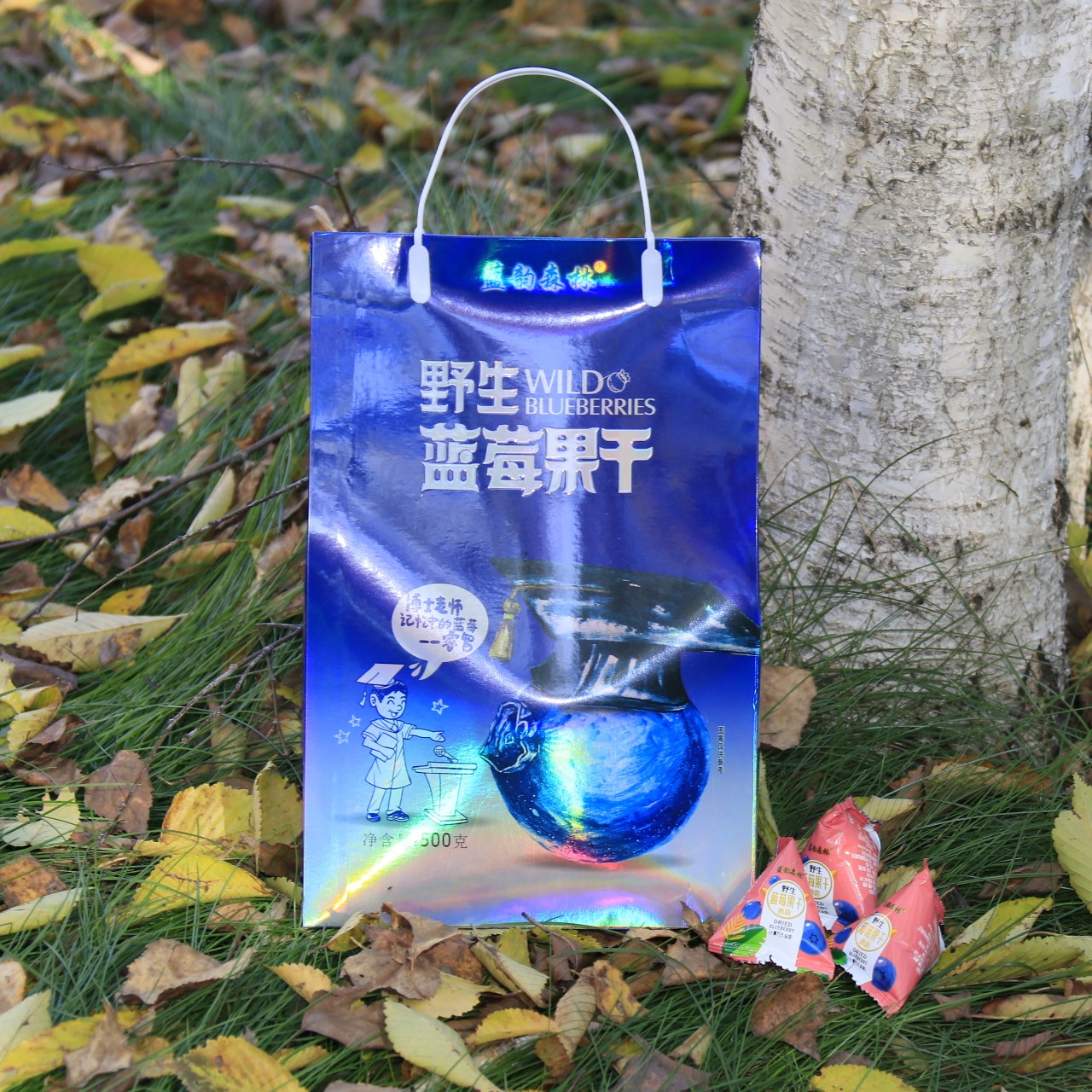 东北特产伊春特产蓝韵森林野生蓝莓果干500克小包装包邮