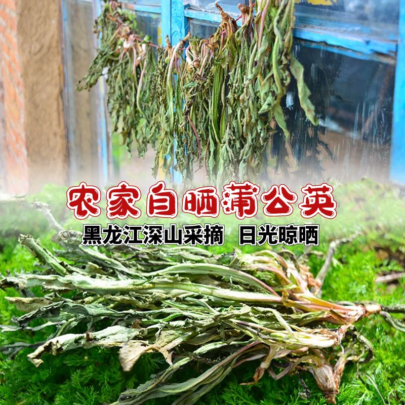 黑龙江伊春干蒲公英250克