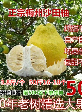 50斤正宗梅州沙田柚子金柚当季孕妇新鲜水果白心纯甜柚非广西容县