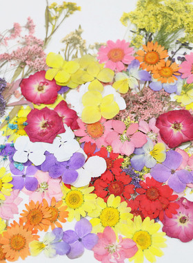 干花标本材料儿童手工diy彩妆干花滴胶拍照摄影拓印材料大包便宜