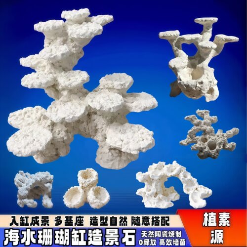 珊瑚缸造景石一图一物免暴藻