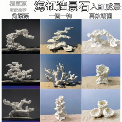 珊瑚缸造景石一图一物免暴藻