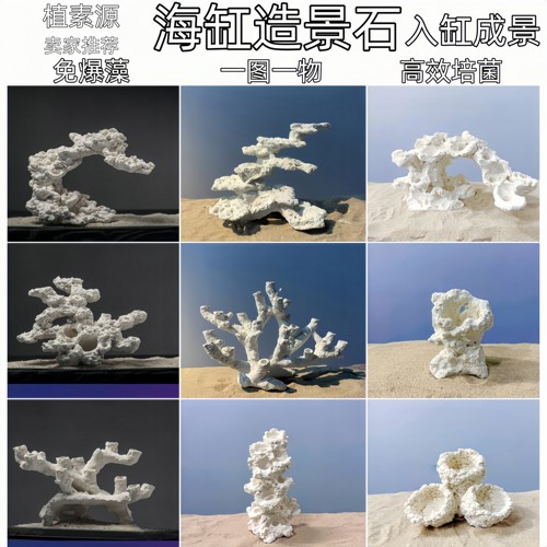 珊瑚缸造景石一图一物免暴藻