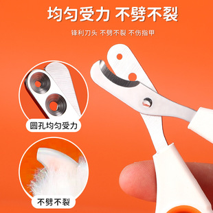 宠物指甲剪猫专用猫咪剪刀狗狗刀钳新手梳毛神器小猫梳子用品大全