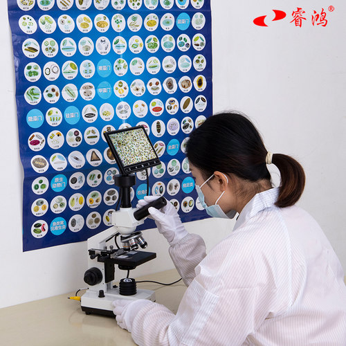 睿鸿养殖生物显微镜高清精子螨虫