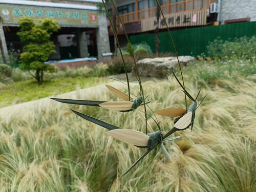 四川非遗草编竹编蚂蚱学生手工作业研学体验影视道具文创特色产品