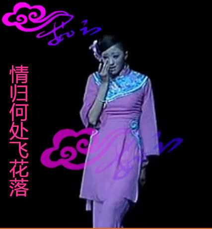 直销茹芸舞台演出服古典舞服装/情归何处飞花落/舞蹈服饰专业订做