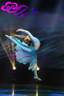 直销茹芸舞台演出服饰古典舞蹈《精卫》舞蹈服装专业量身定做