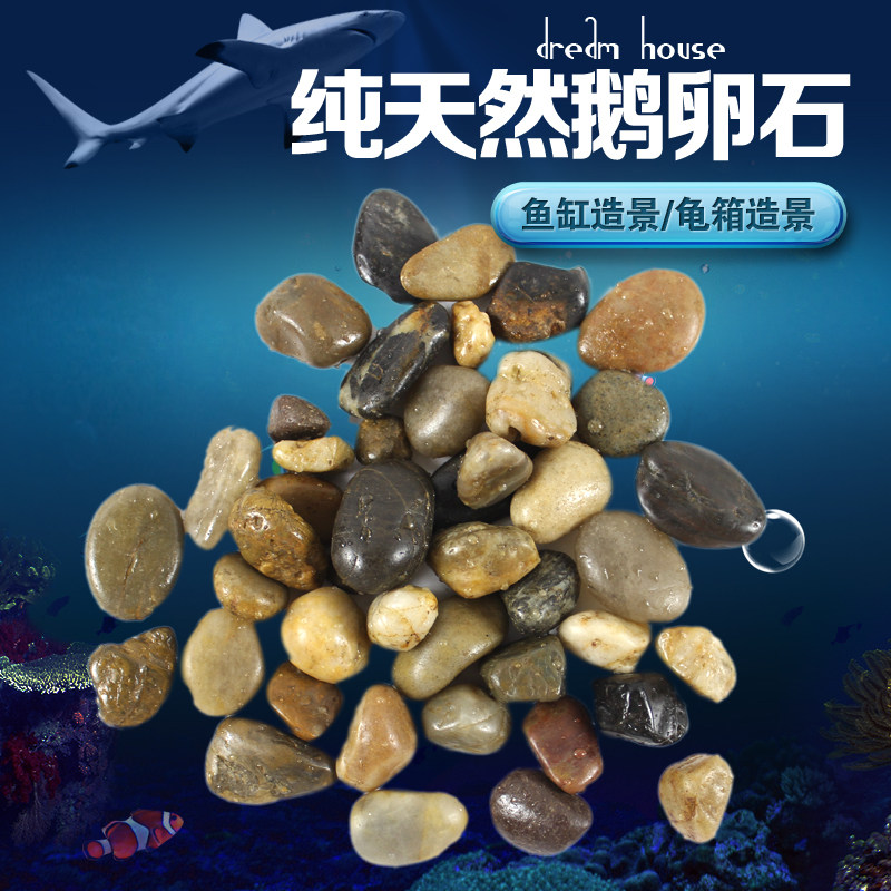 鱼缸水族箱造景乌龟缸爬箱雨花石水族布景石头养花盆景鹅卵石子