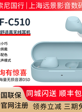 sony/索尼 WF-C510 真无线耳机 长效续航 惊艳性能 轻盈舒适佩戴