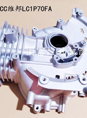 园林机械配件隆鑫196CC草坪机维邦LC1P70FA手推割草机原厂箱体
