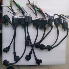 增程器72V/24V手提发电机高压包点火器点火线圈触发器148F磁电机